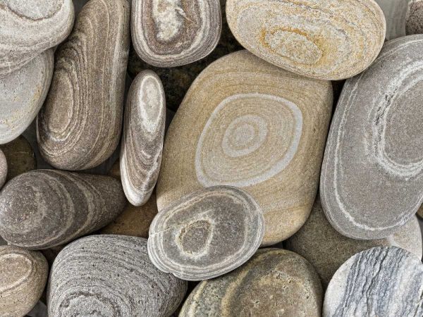 Washington, Seabeck Close-up of beach stones